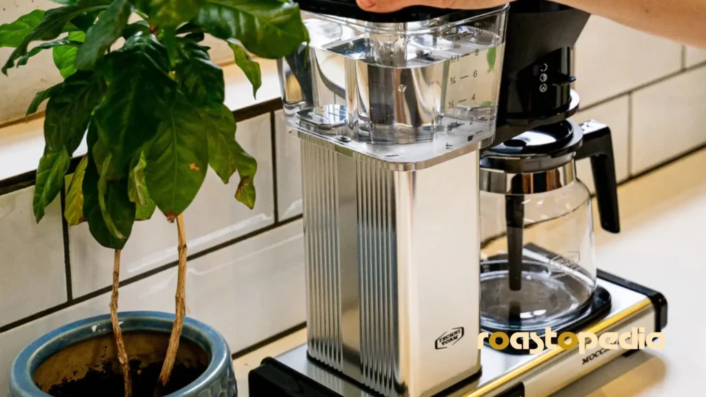 Batch brew, also known as drip or filter coffee brewing method
