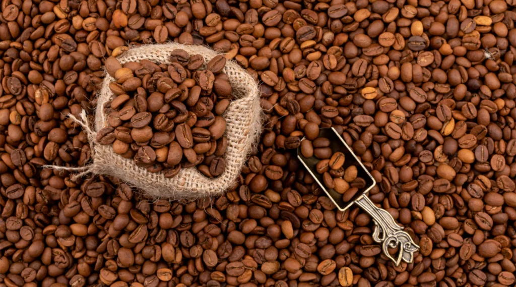 medium coffee roast level
