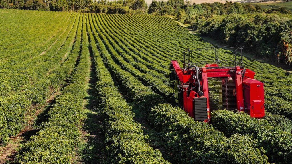 Machine Harvesting