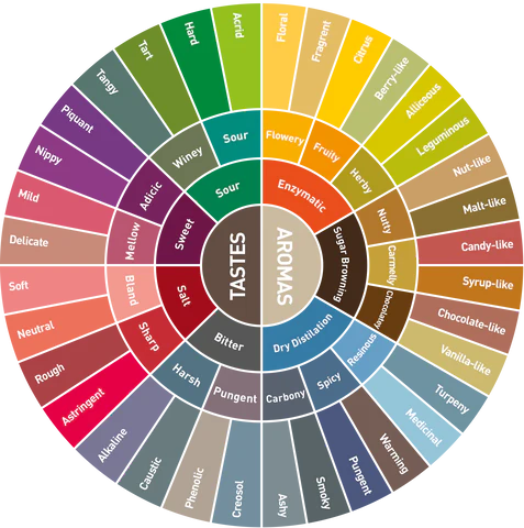 Coffee Flavor Wheel