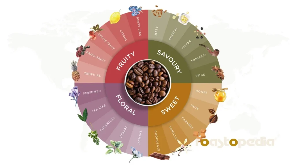 Coffee Flavor Wheel