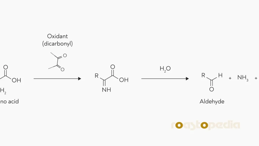 Strecker degradation