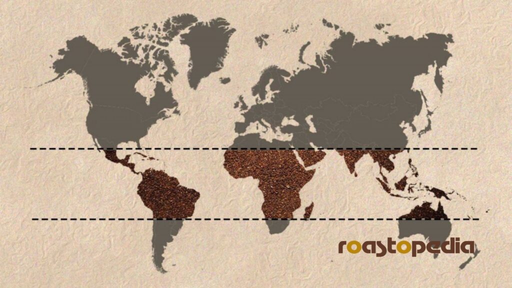 coffee belt