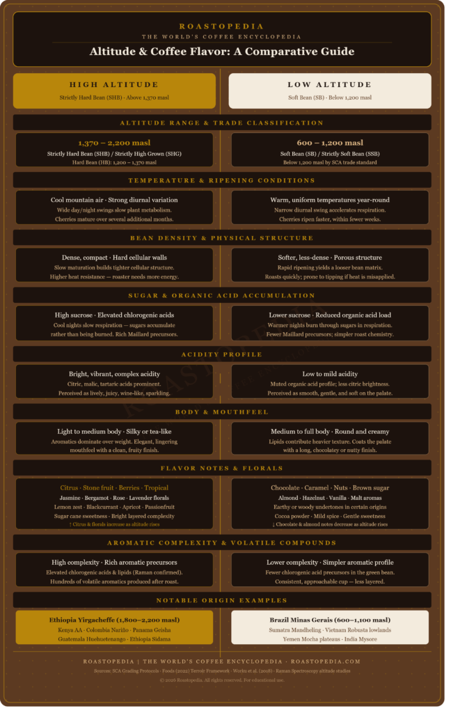 How Soil, Altitude, and Climate Determine Coffee Flavor at Origin
