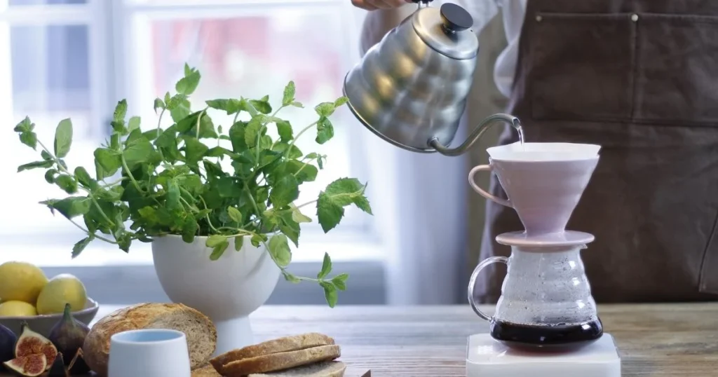 hario v60