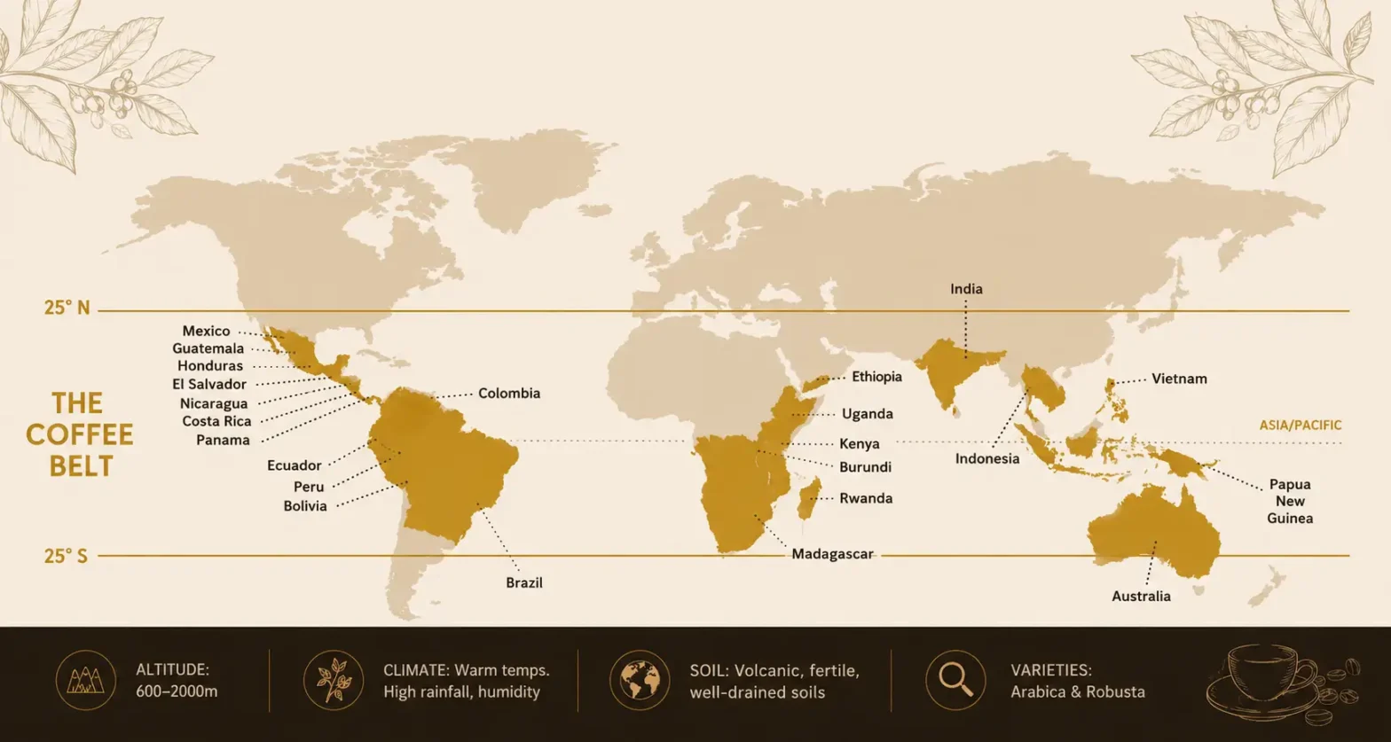 coffee belt
