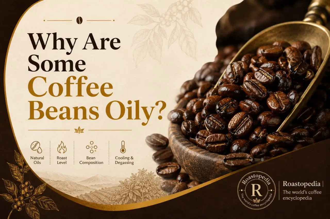 Why Are Some Coffee Beans Oily